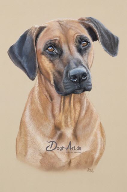 Hundeportrait in Pastellkreide Bayoola