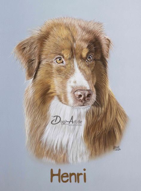 Portrait nach Fotovorlage Henri