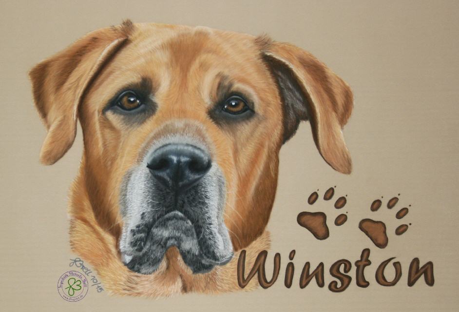 Winston