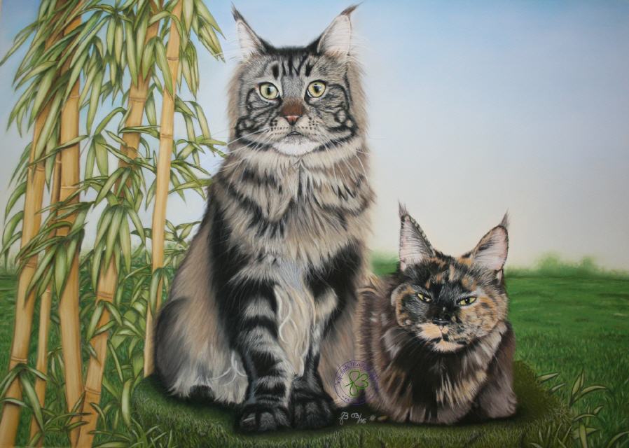 Chevelle und Nova