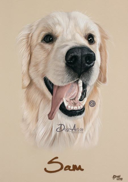 Golden Retriever Sam Tierportraits von DogiArt